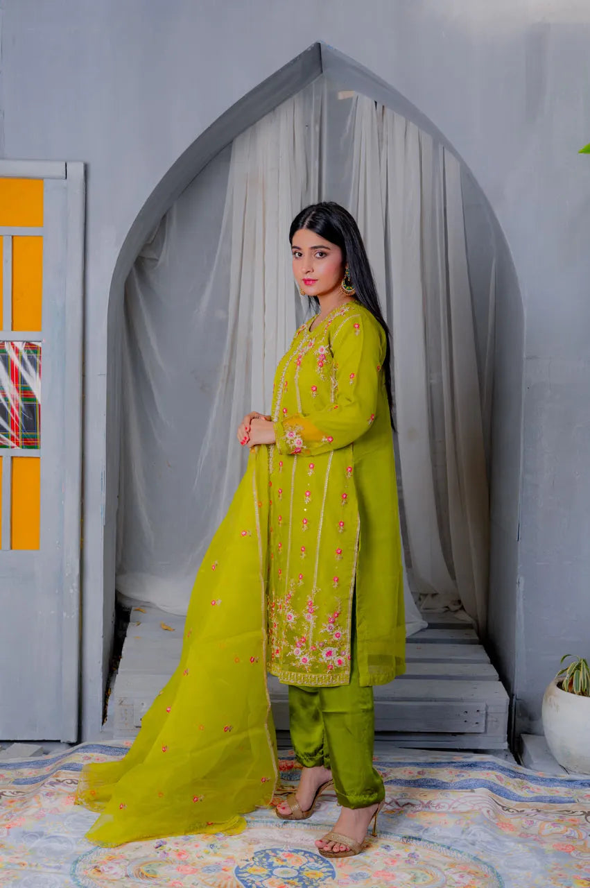 Dhaani Color Organza with lining Three Piece dress