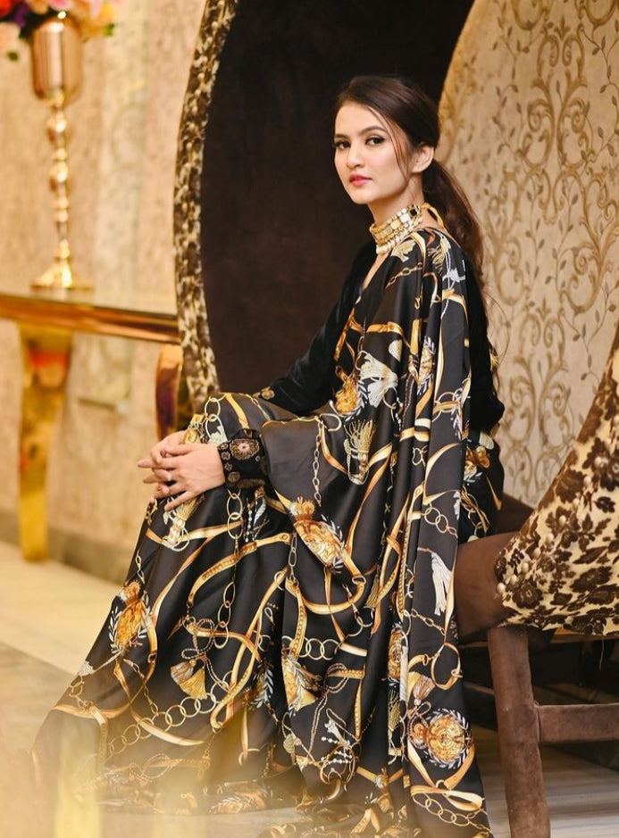 Hira Faisal's Saree